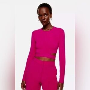 Aritzia Ten by Babaton Retrospect Cut-Out Cropped Sweater